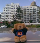 E-Bear at the Peninsula Hotel